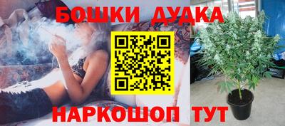 PSILOCYBIN Будённовск