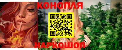 PSILOCYBIN Будённовск